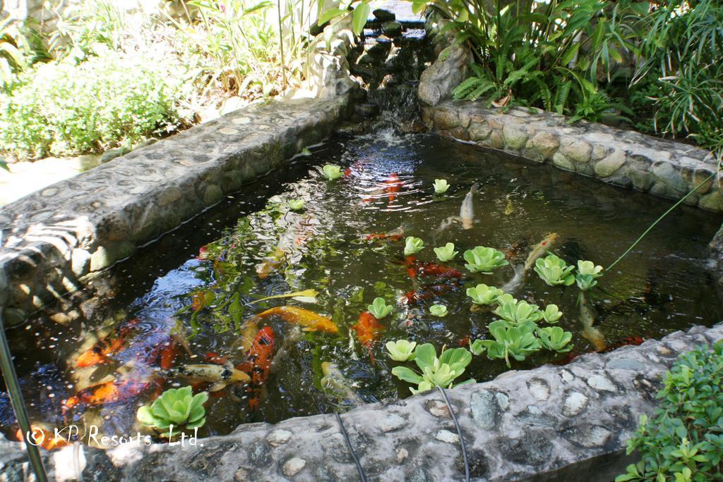 Enchanted Waters Tobago Buccoo Ngoại thất bức ảnh